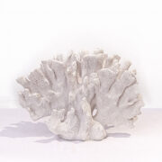 Símil coral decorativo cerámica blanco (m)